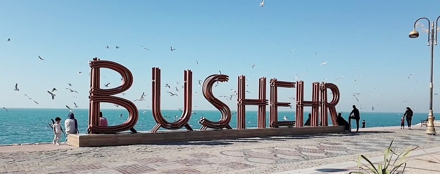 سان نخلستان 🌴 سان نخلستان 🌴