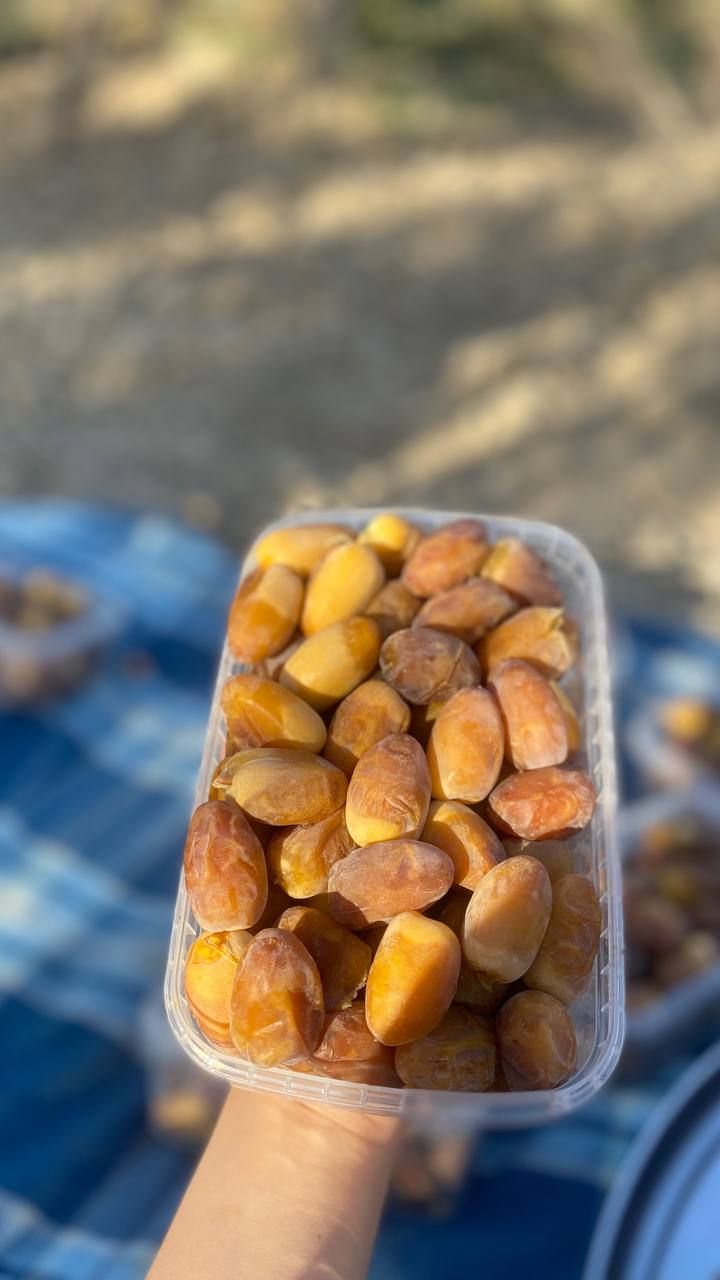 رطب کبکاب