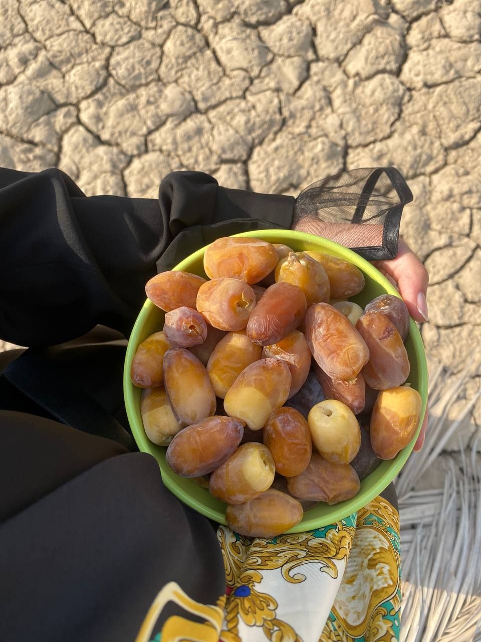 رطب کبکاب