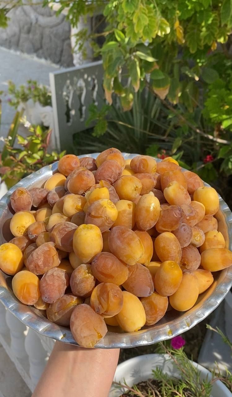 رطب برهی
