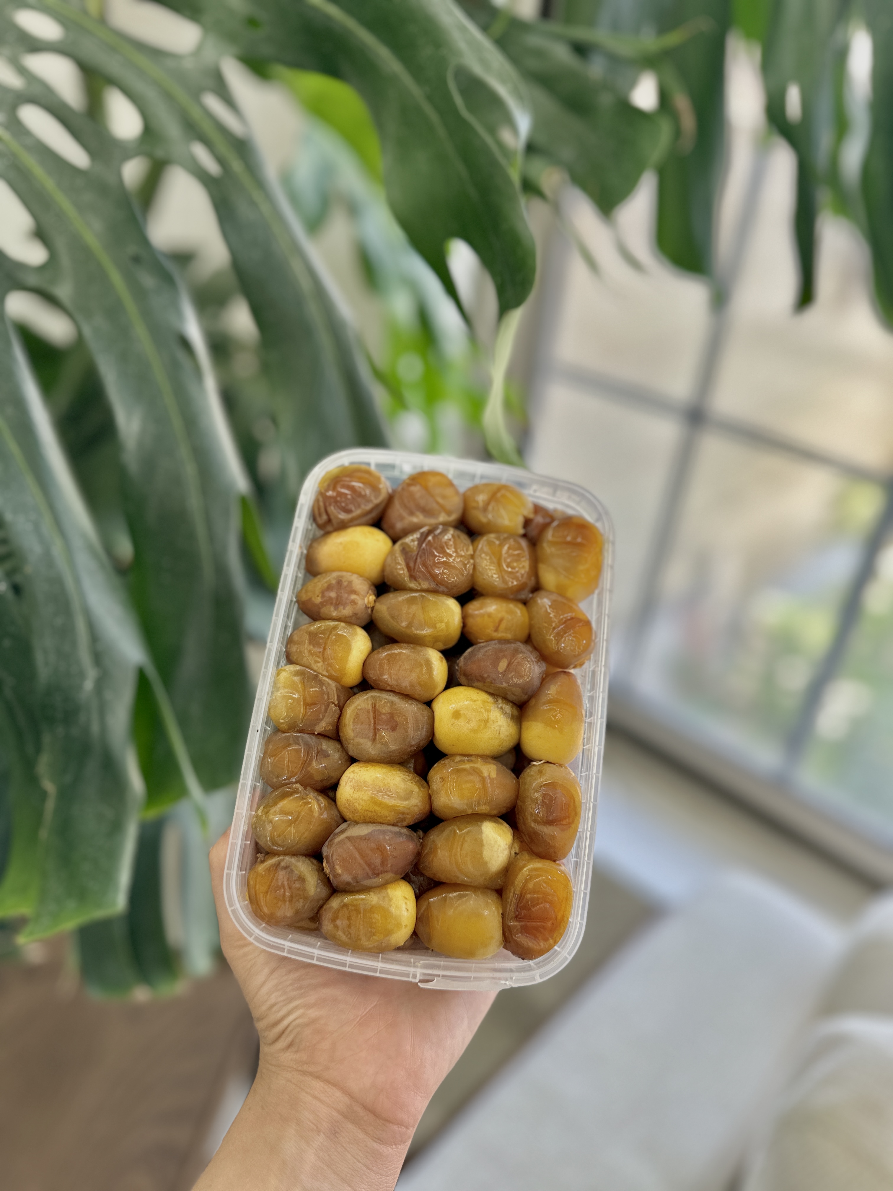 رطب برهی